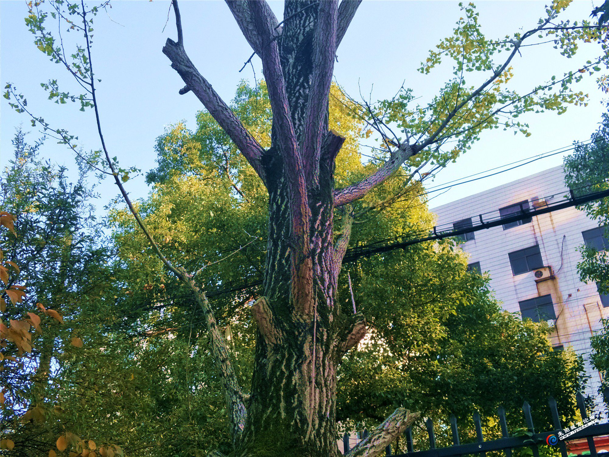 IMG20181128155310_.jpg