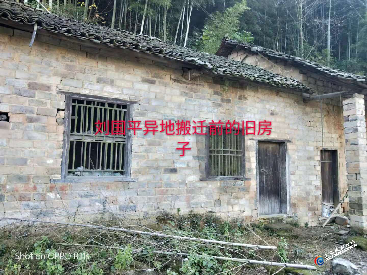 QQͼƬ20181130085801.jpg