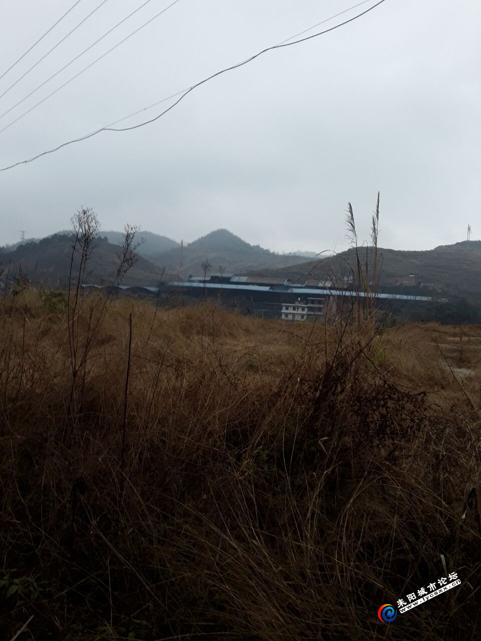 QQͼƬ20190111191007.jpg
