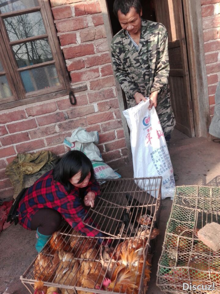QQͼƬ20190125114451.jpg