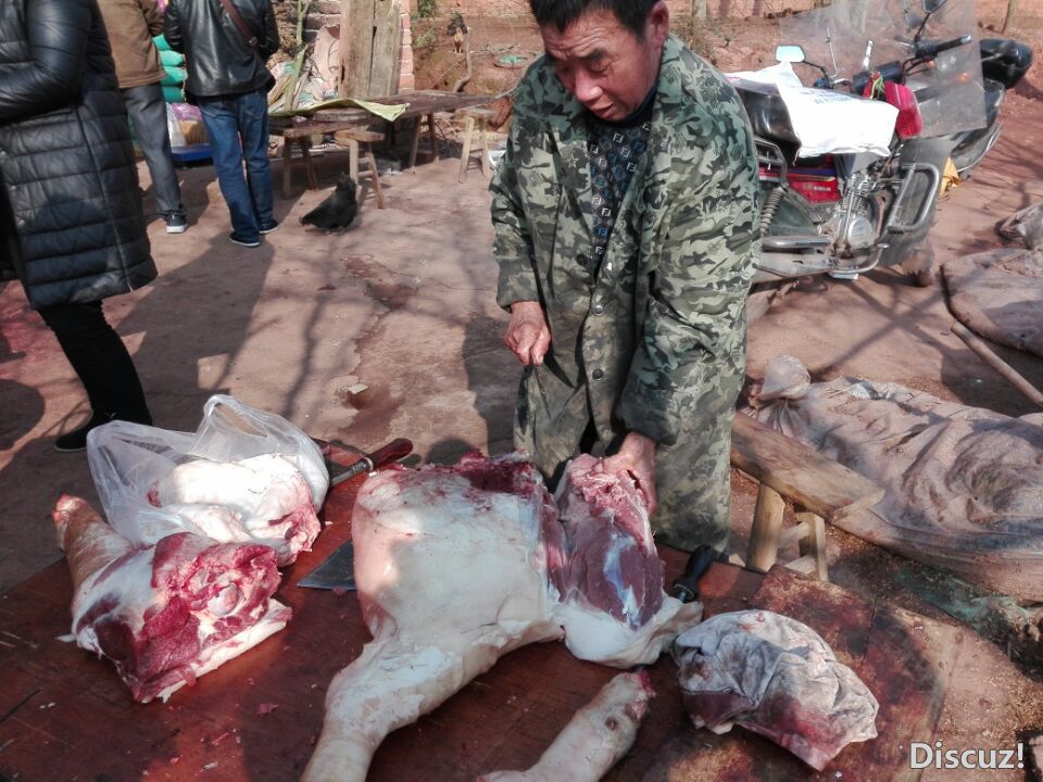 QQͼƬ20190130184933.jpg