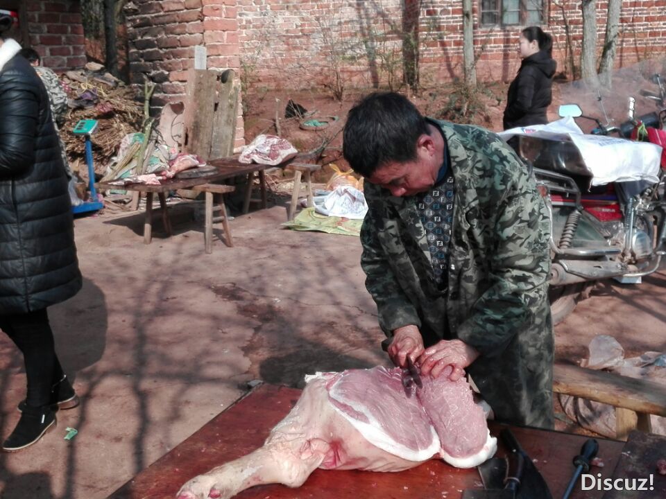 QQͼƬ20190130184925.jpg