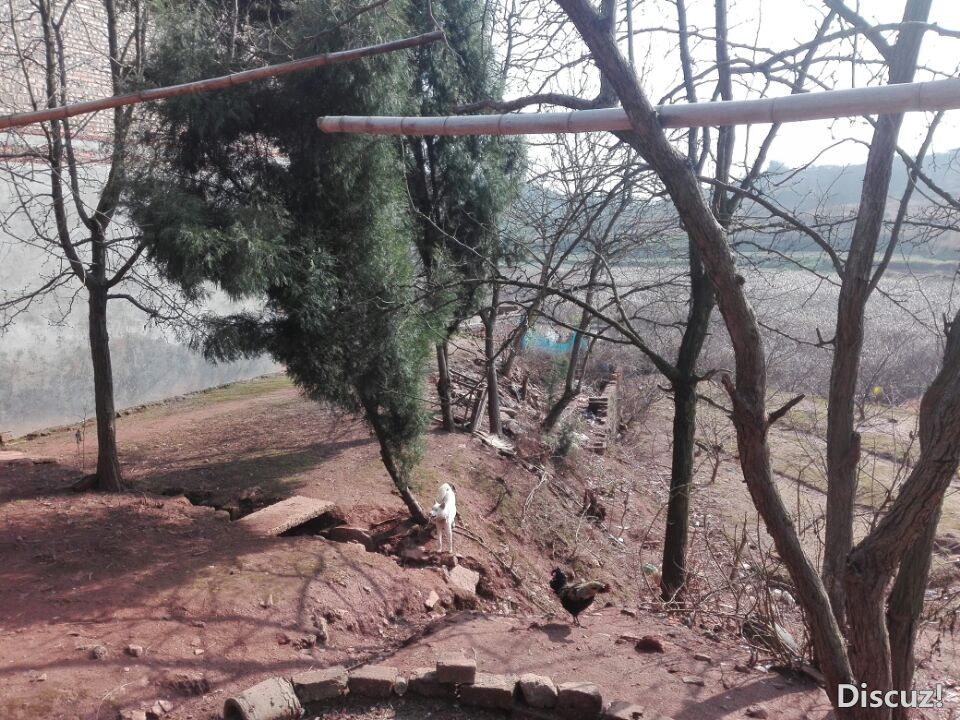 QQͼƬ20190130184813.jpg