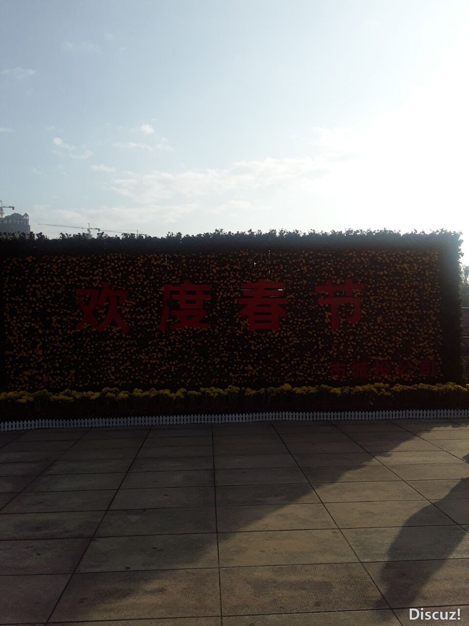 QQͼƬ20190130121234.jpg