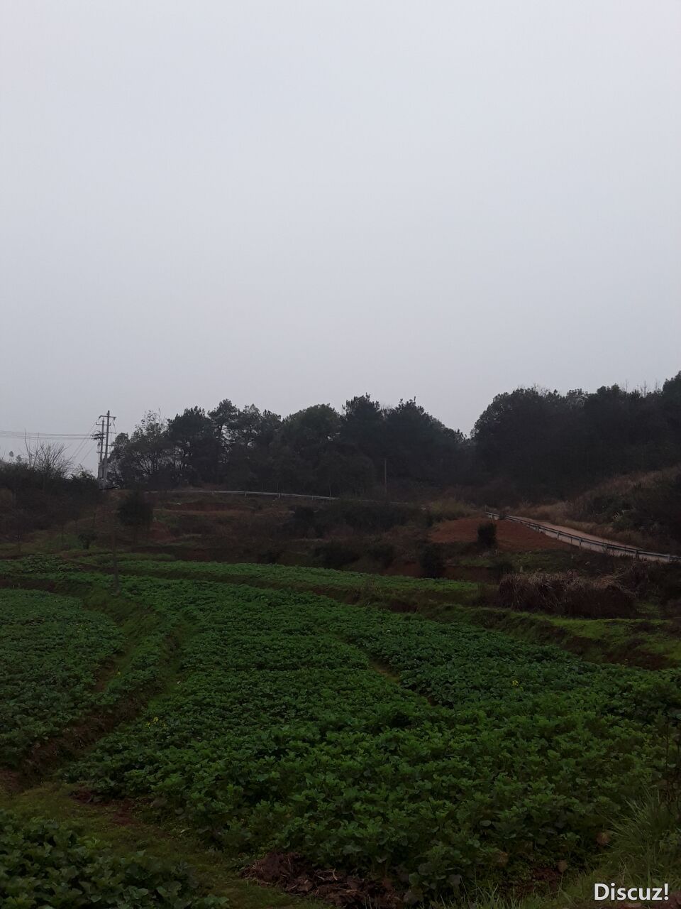 QQͼƬ20190208085048.jpg