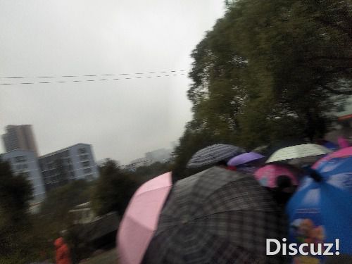 IMG20190221111516.jpg