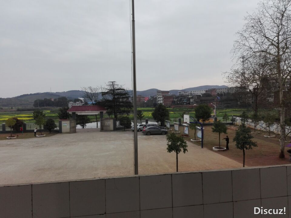 QQͼƬ20190313085303.jpg