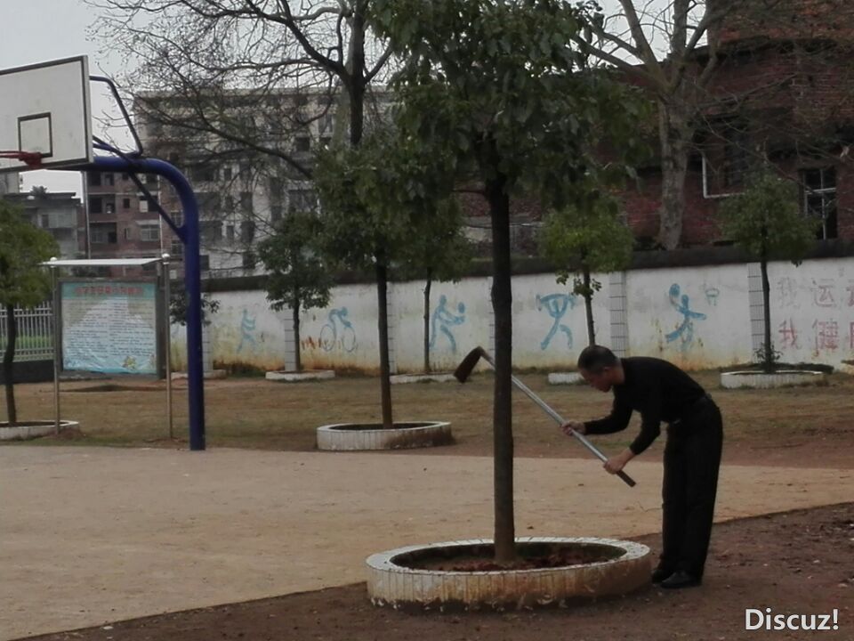 QQͼƬ20190313085225.jpg