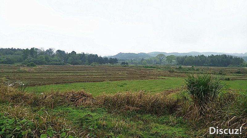 IMG20190403105141_.jpg