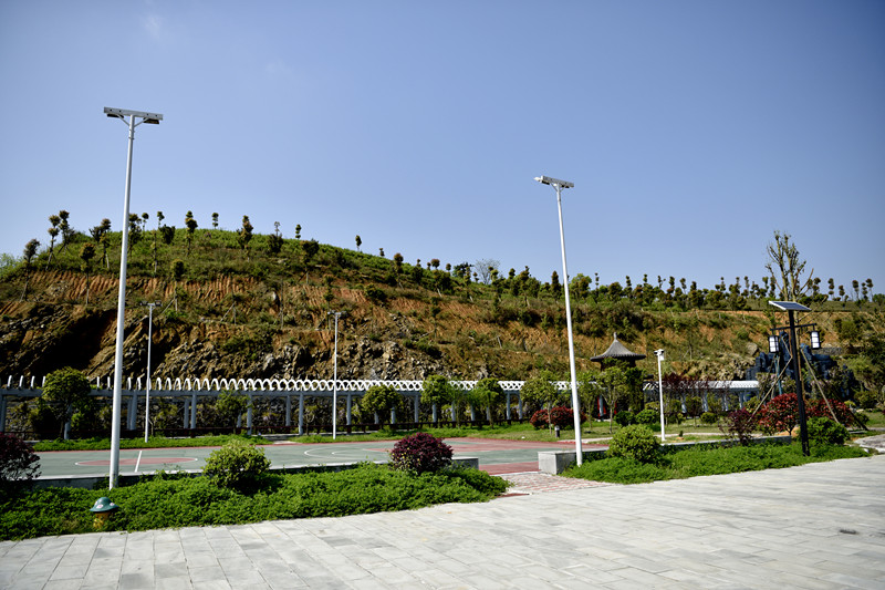 _DSC4211_.jpg