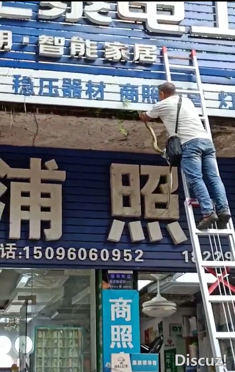 QQͼƬ20190514171957.png