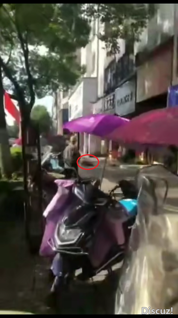 QQͼƬ20190626123524.png