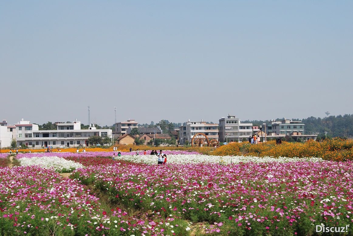 DSC_4794 - .JPG