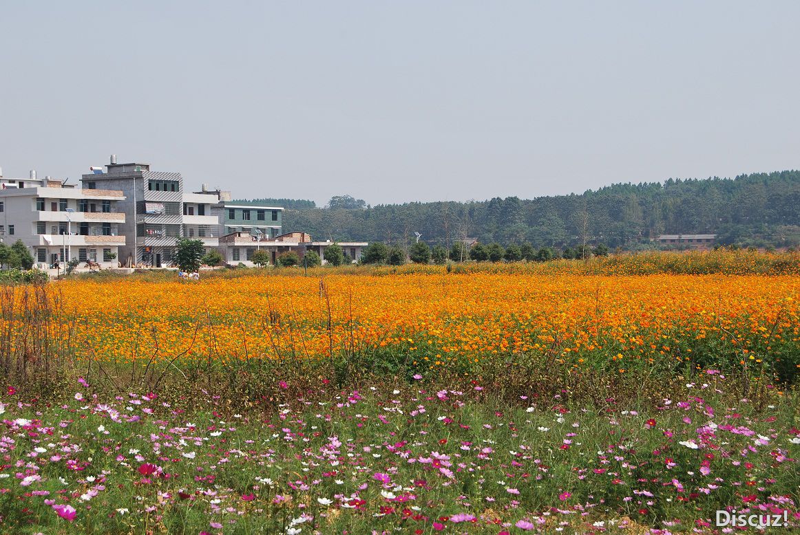 DSC_5019 - .JPG