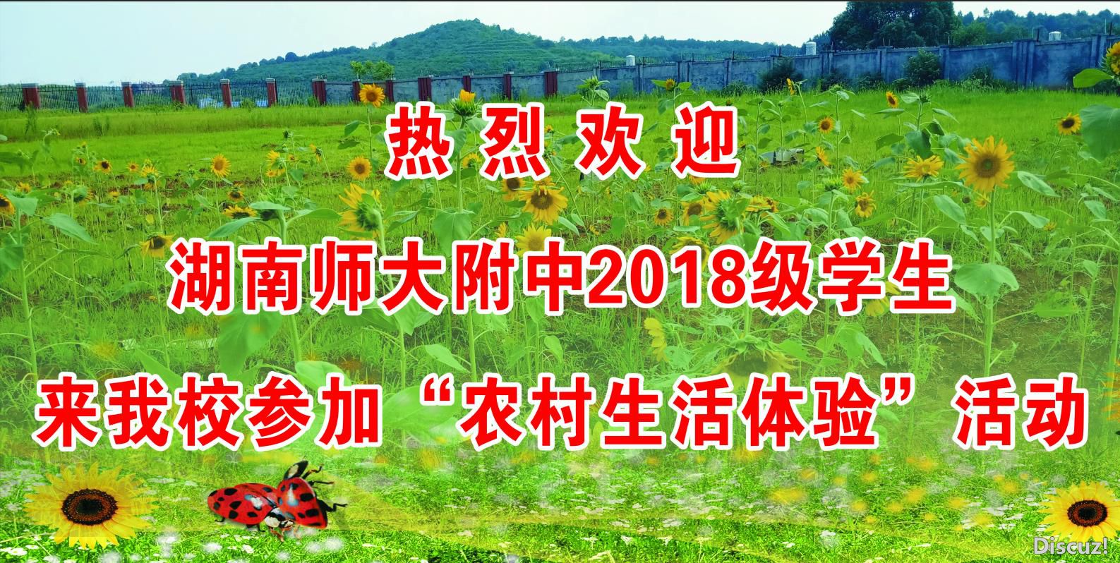 QQͼ20190715085016.jpg