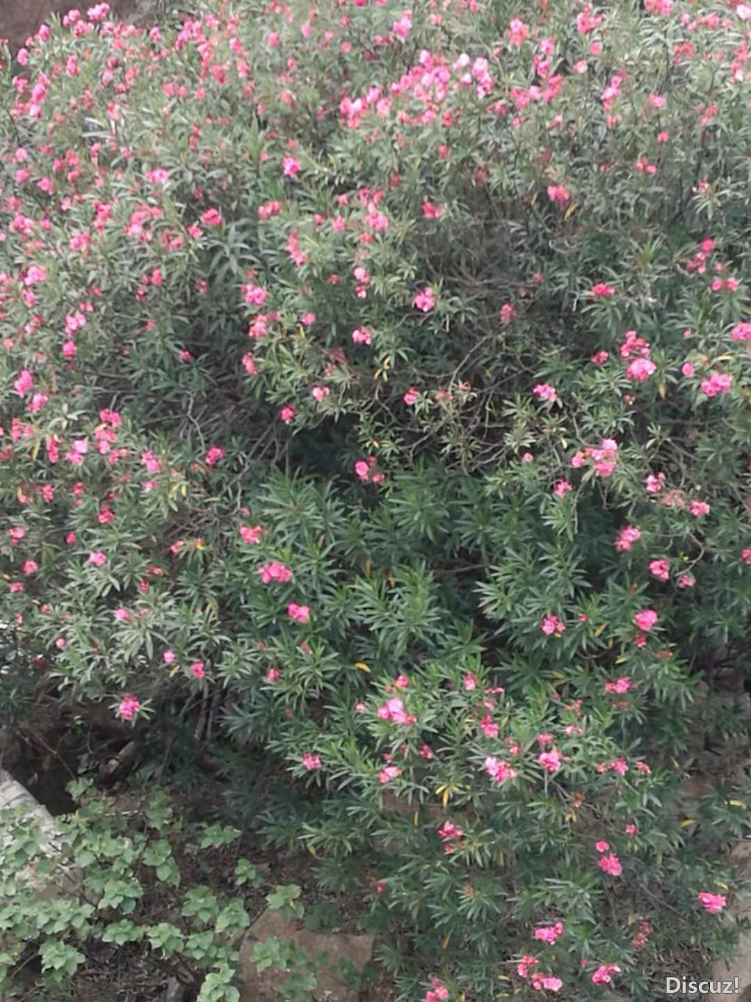 ΢ͼƬ_20191006175430.jpg