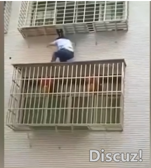 QQͼƬ20191013085710.png
