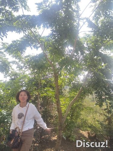 IMG20191102120745.jpg