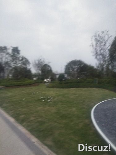 IMG20191117162448.jpg
