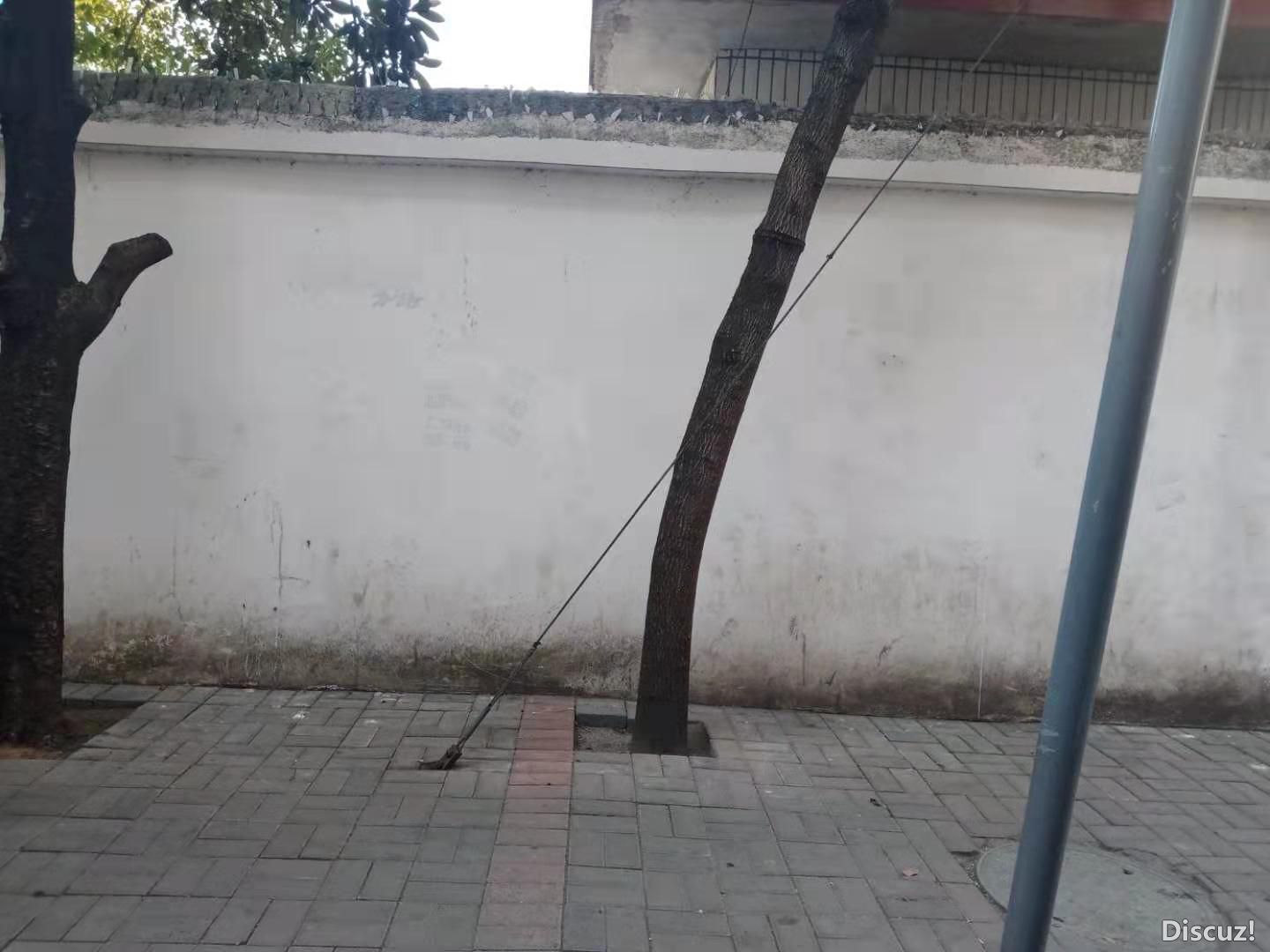ӳ2.jpg