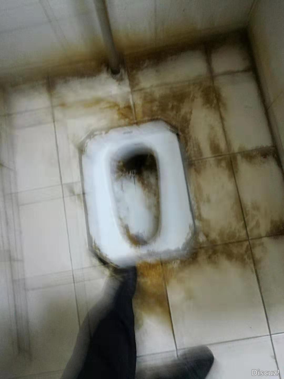 .jpg