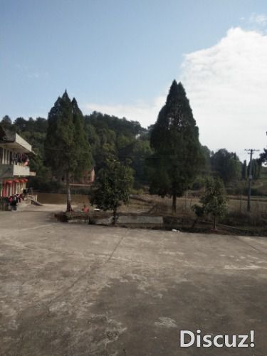 IMG20200131120722.jpg