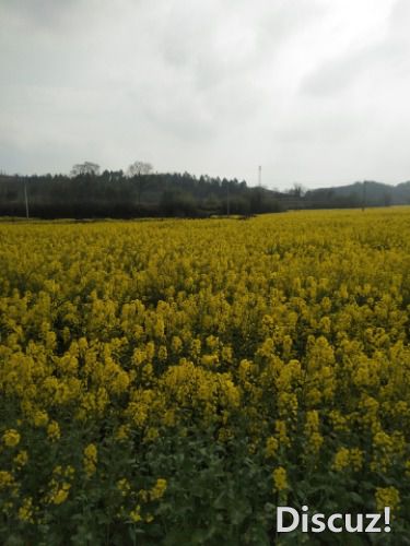 IMG20200310101603.jpg