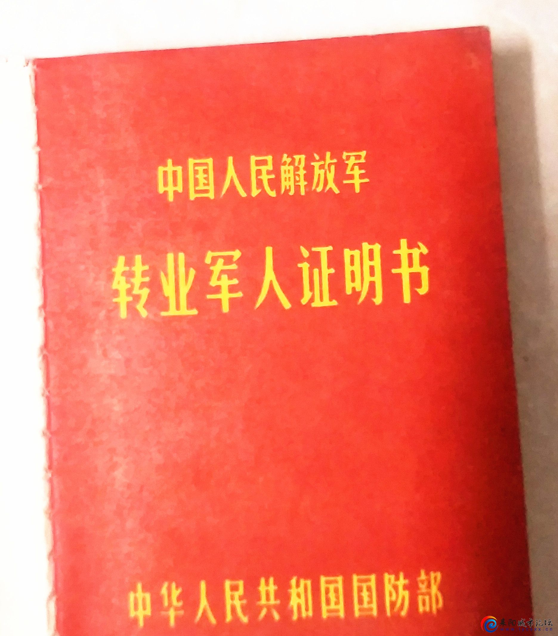 919ce17fa1061c4b162f9c5ada0da18_.jpg
