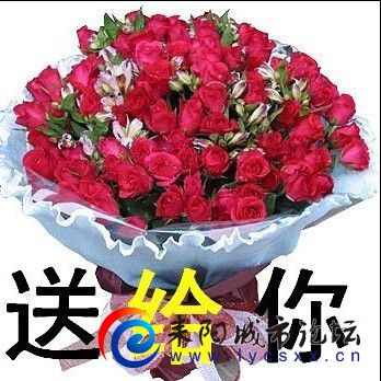 7QWFY4B_L9ZDJ8NC@~2[TV6.jpg