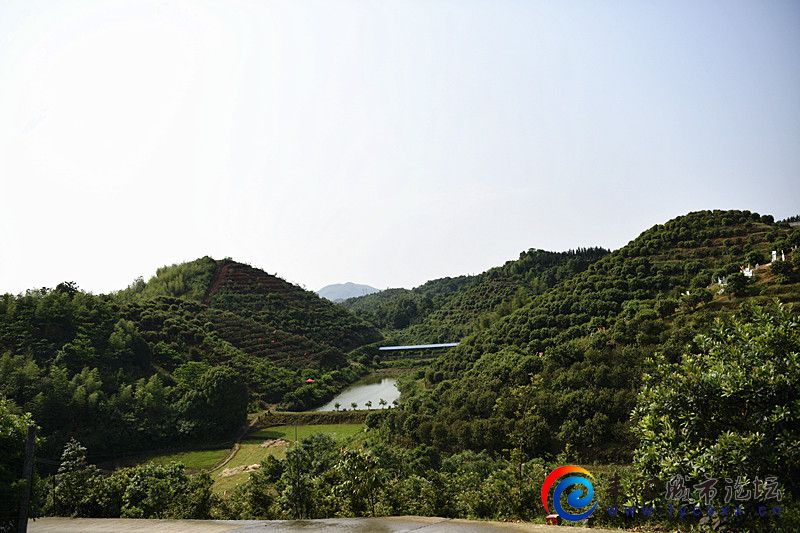 _DSC6445_.jpg