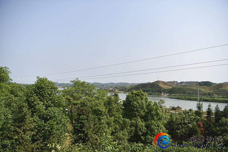 _DSC6486_.jpg