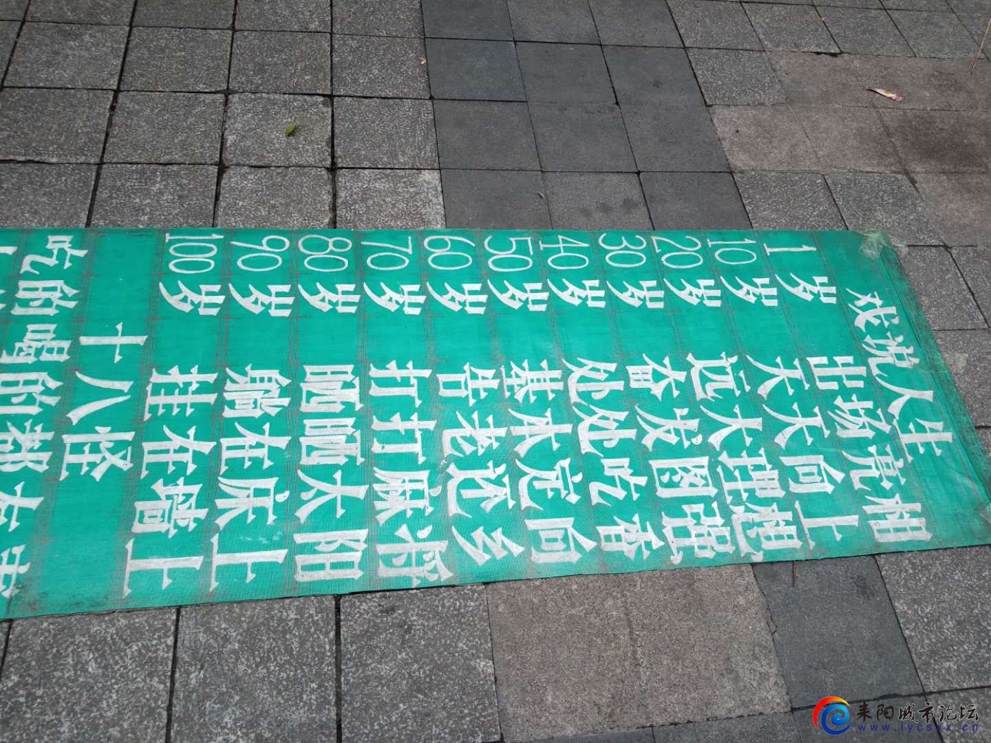 Ǯ.jpg