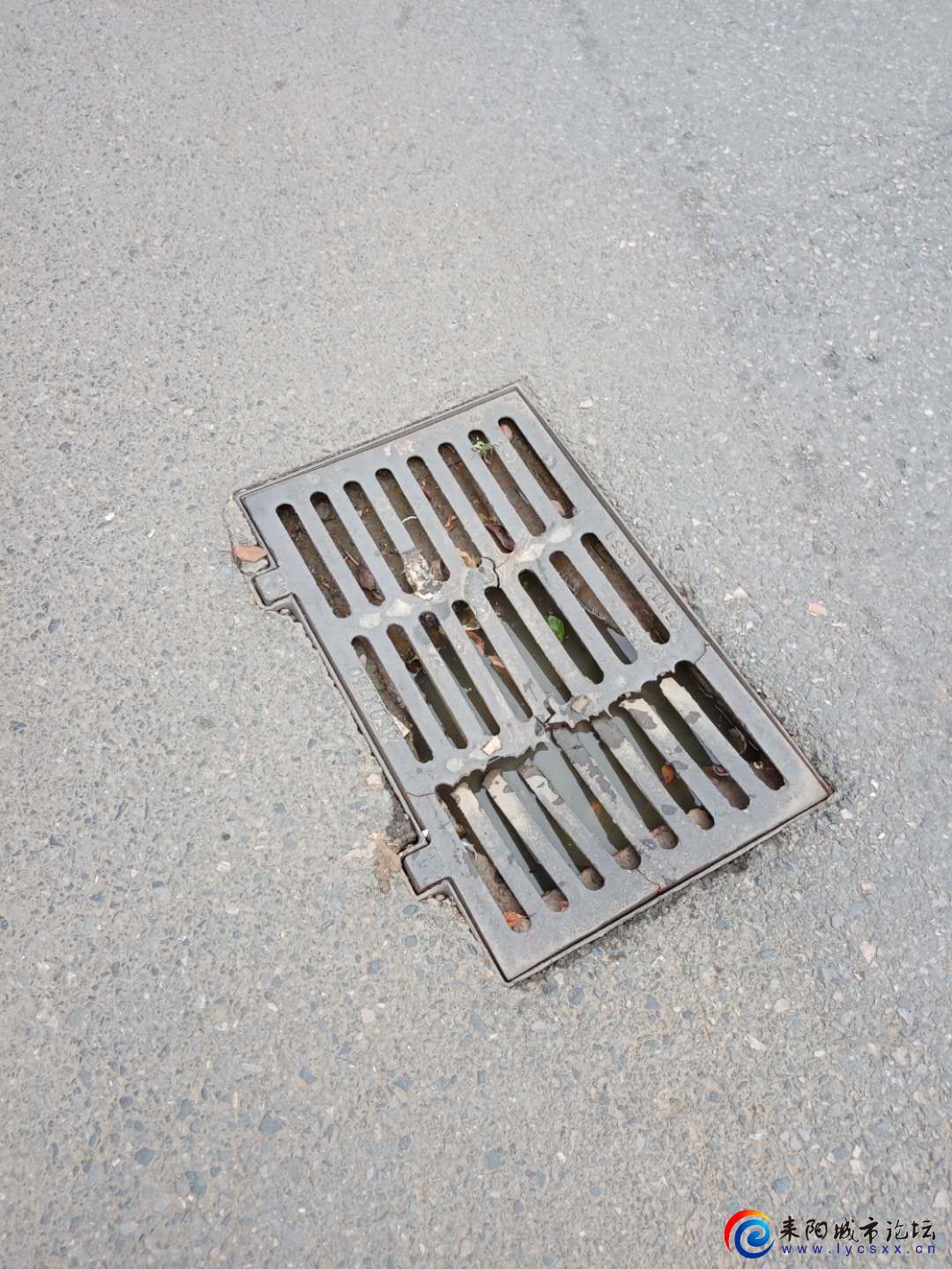  ʩ2.jpg