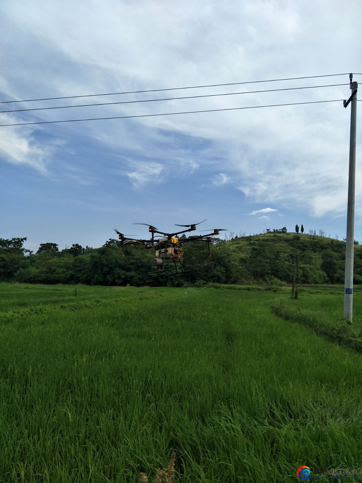 QQͼƬ20200717164312.jpg