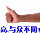 ߣڲͬ.gif