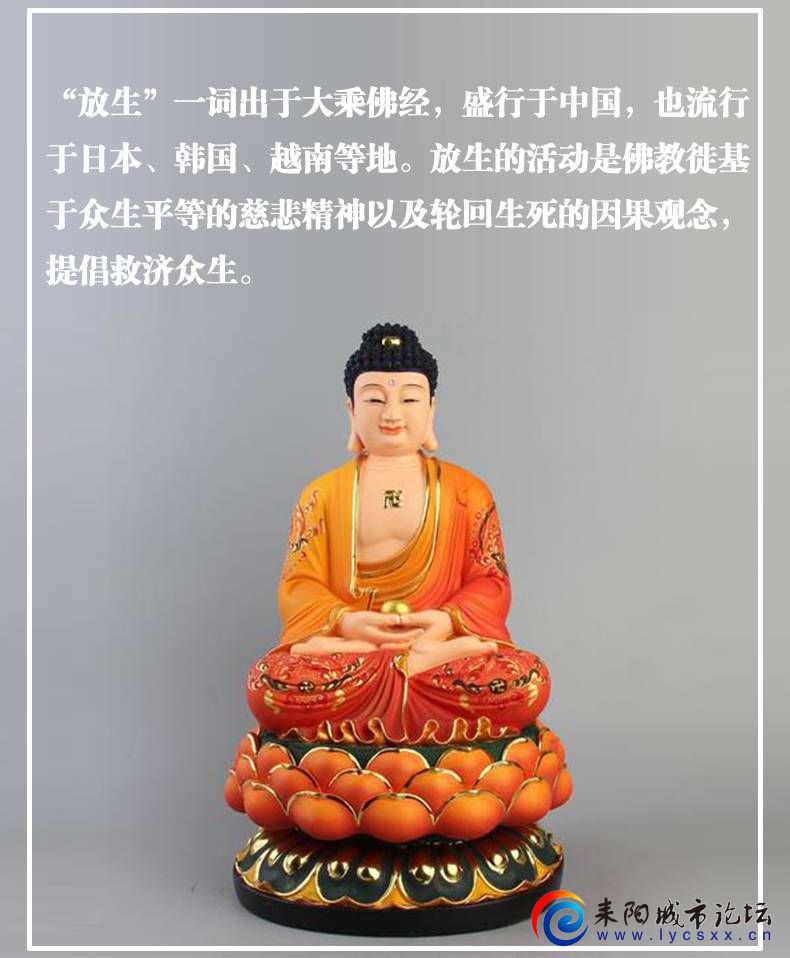 5d648cb87a657.jpg