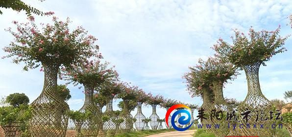 2018꣬骴ʢũҵ޹˾ıִũҵ̬԰Ŀʱ佫԰Ϊũҵҵ ...