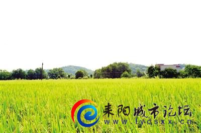 d1a20cf431adcbefdbc056492d5206daa1cc9f89.jpeg