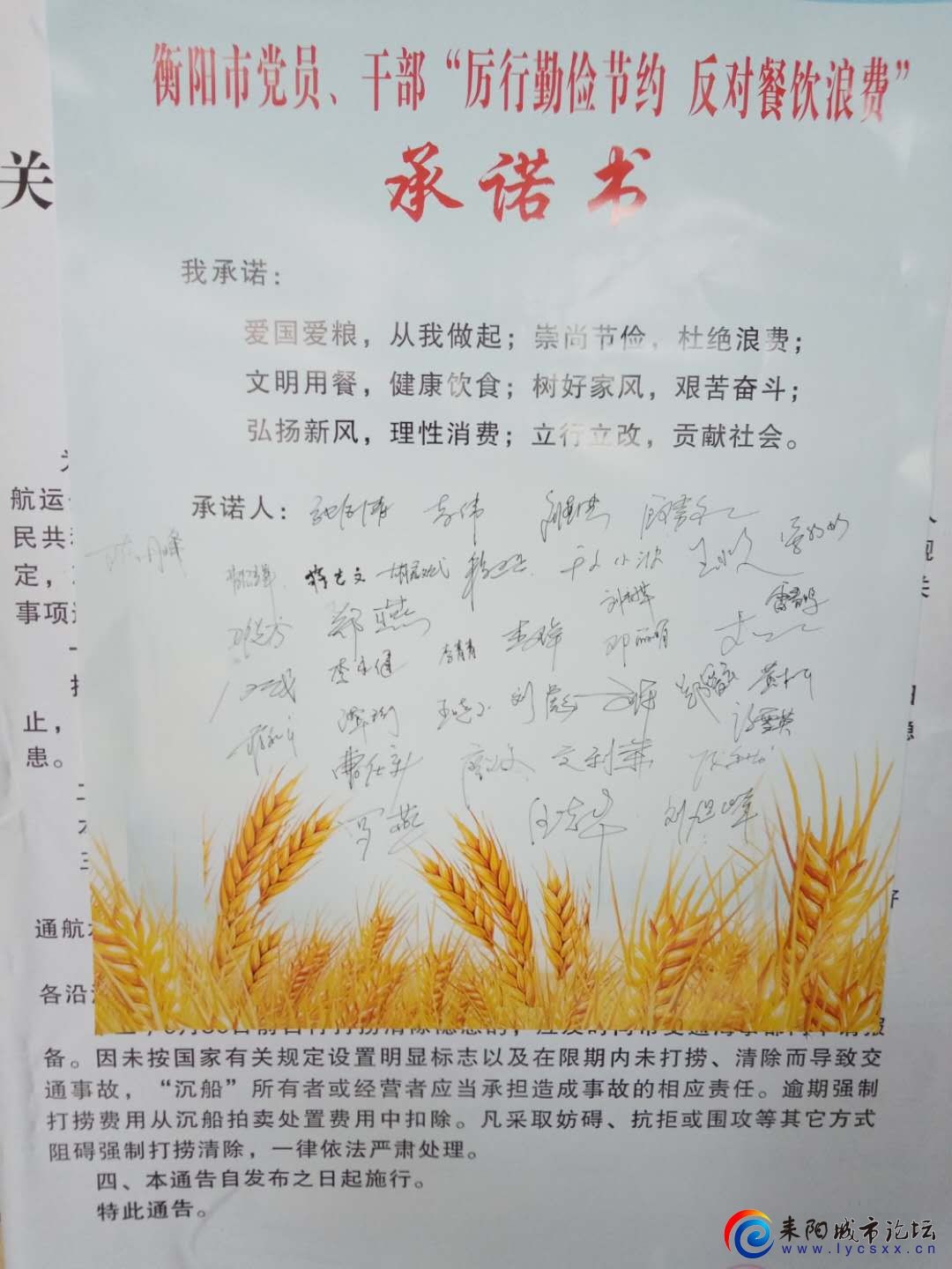 ŵ 3.jpg