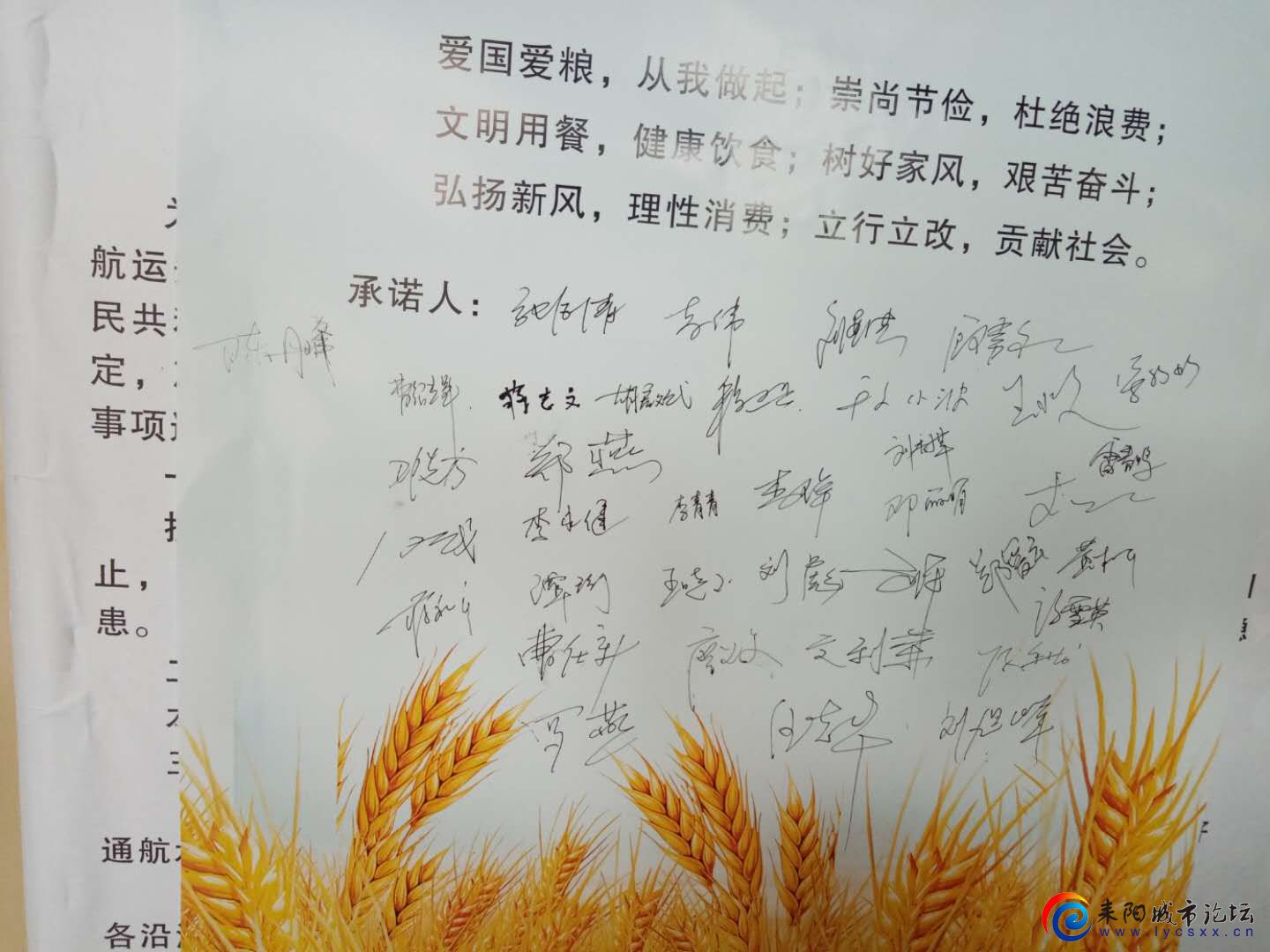 ŵ 2.jpg