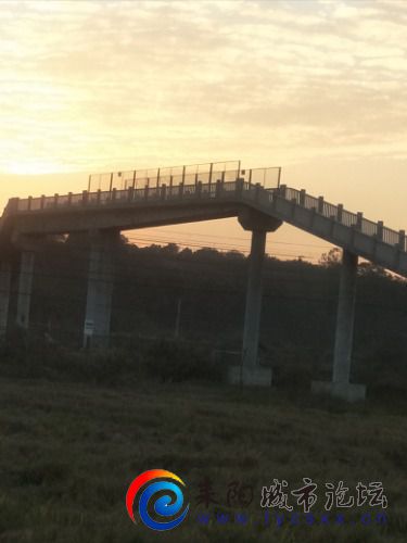 IMG20201105172624.jpg
