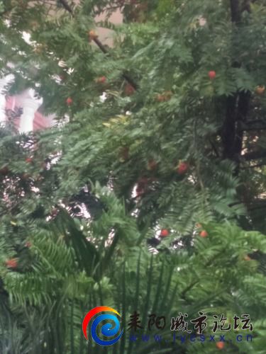 IMG20201102160208.jpg