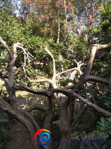 IMG20201109104733.jpg