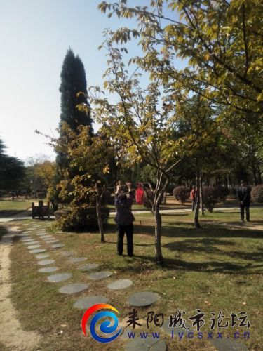 IMG20201109101909.jpg