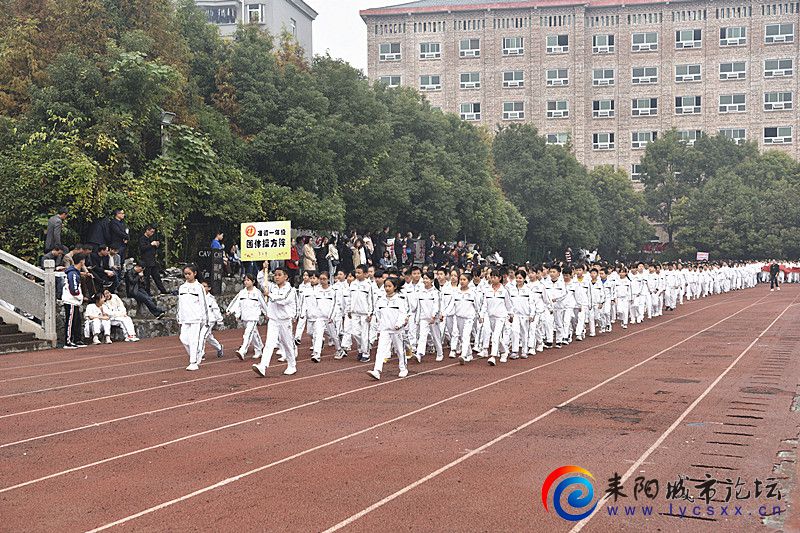 _DSC0941_.jpg