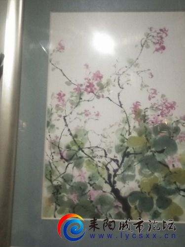 IMG20201216191239.jpg