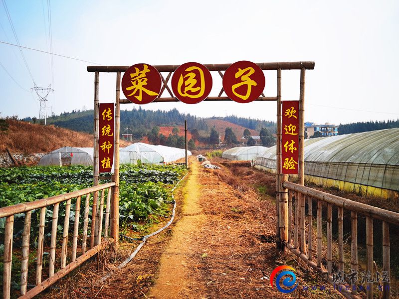 747f9e5750eeccc799ff79f427c24a4_.jpg