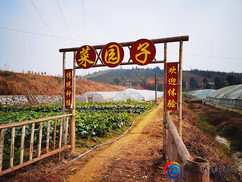 d85ad479b9b5c5c1aec2010b9b62abe_.jpg