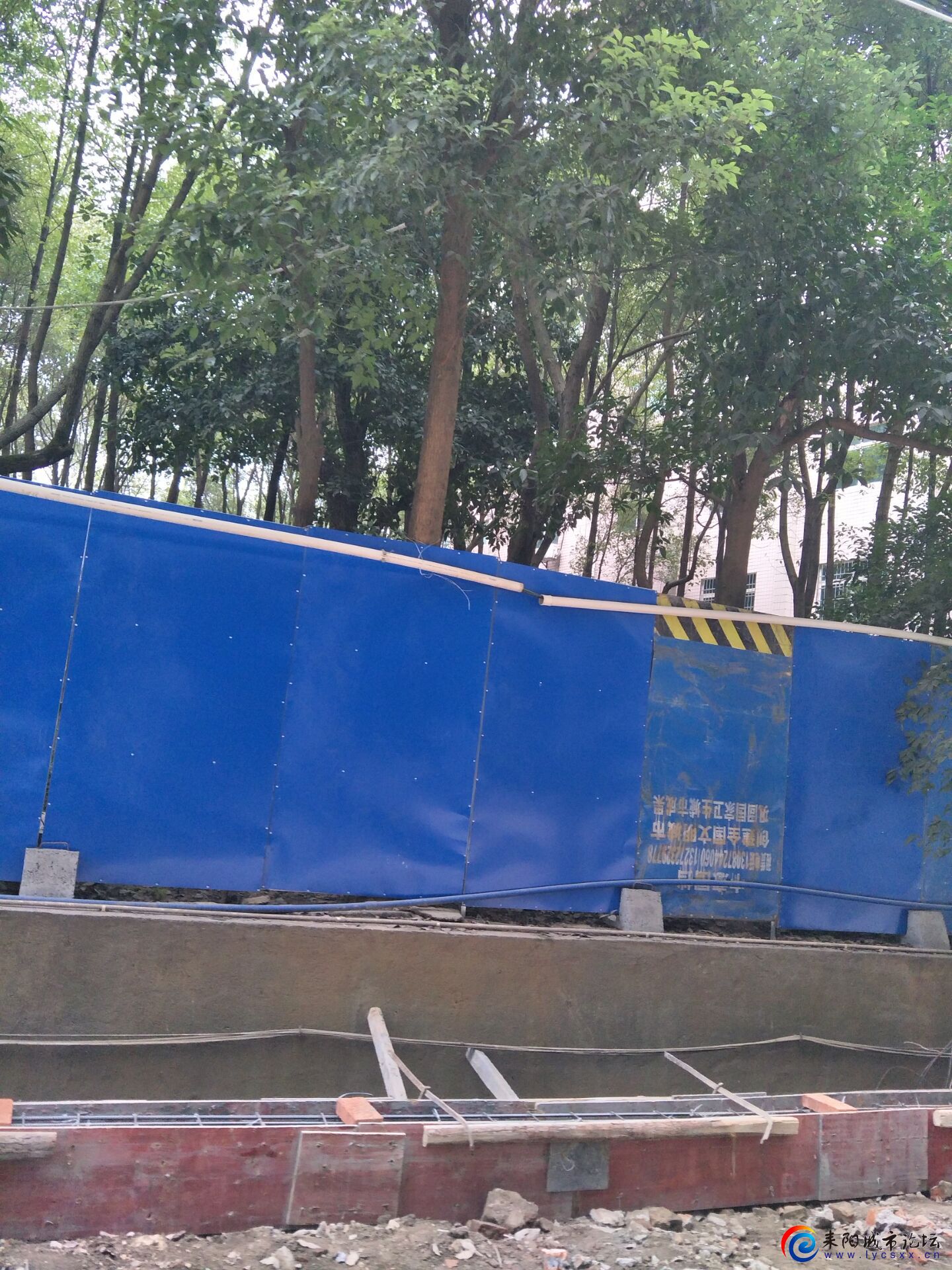 QQͼƬ20201225145703.jpg