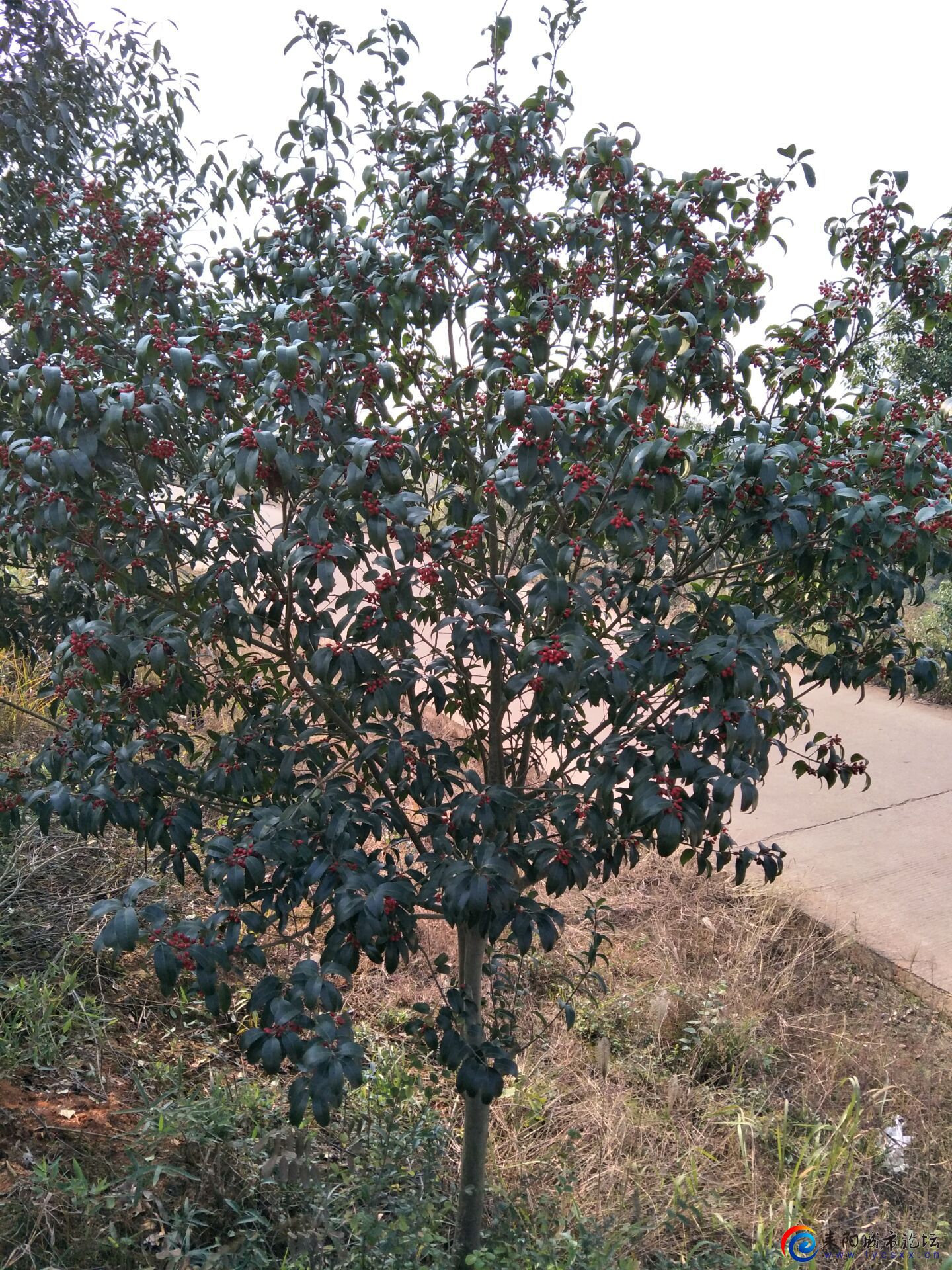 QQͼƬ20201225145624.jpg